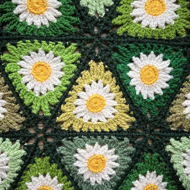Daisy bloom