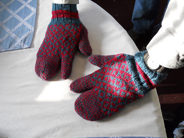 Skier's Finger Mitts