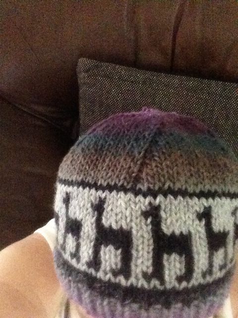 Llama Cap