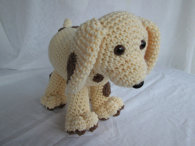 Spots the Cute Puppy