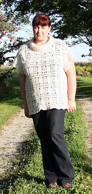 Pullover Top Mesh