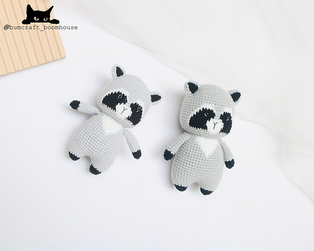 Raccoon - Ami zoo 1