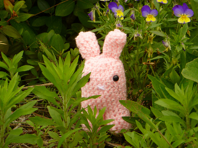 Bunny Amigurumi