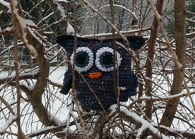 G's Great Owl