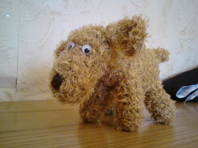 Hund