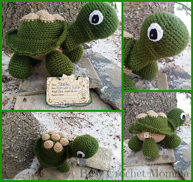 Teeko The Turtle