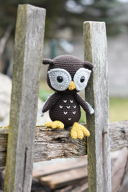 Bubo the Owl