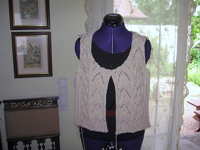 18 Mini cabled vest
