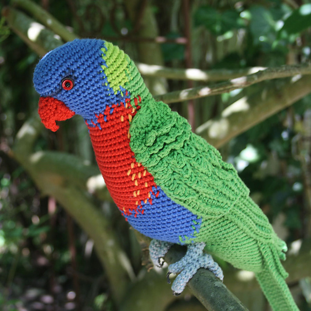 Rainbow Lorikeet