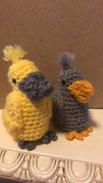 Pelican / Pelícano