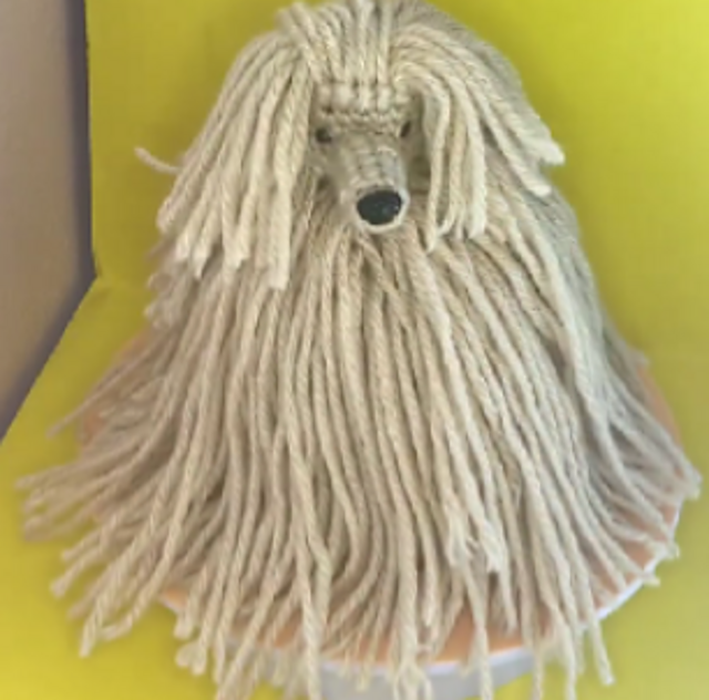 Afghan Hound / Perro Afgano