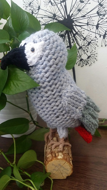 Loom Knit African Grey Parrot