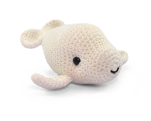Beluga whale