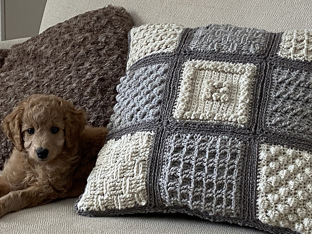 Not Your Granny's Pillow