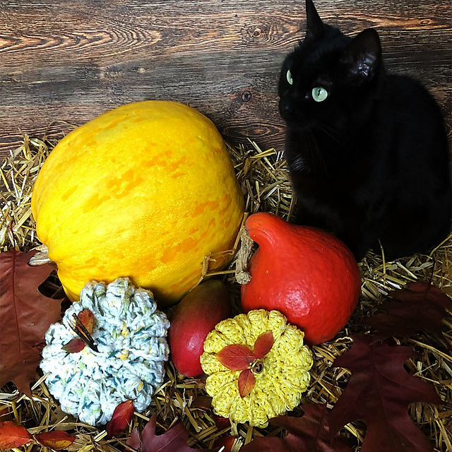 Halloween special pumpkin