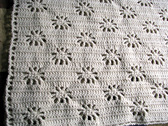 Delightful Daisies