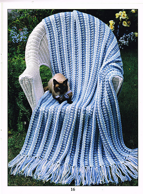 Sassy Cat Stripes