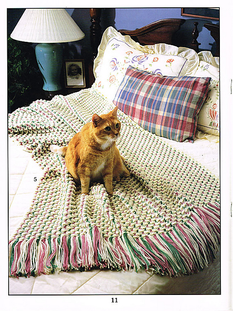 Purr-fect Stripes