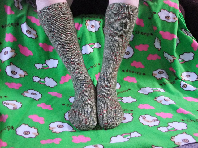 Socks for the Family