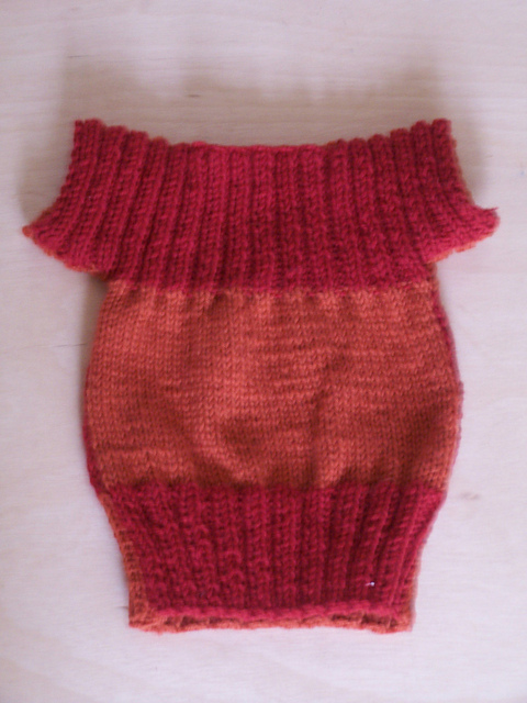 Zanny's T-Sweater