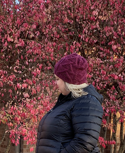 Gable Knit Hat