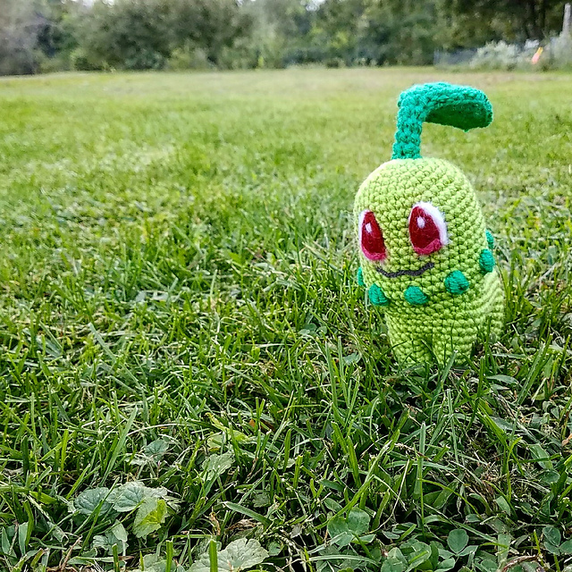 Chikorita