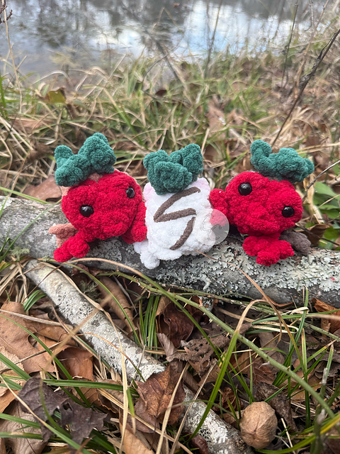 Ravelry Chocolate Covered Strawberry Frogs pattern by Caitlin's