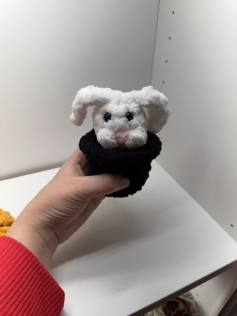 Bunny in Hat (Pop it)