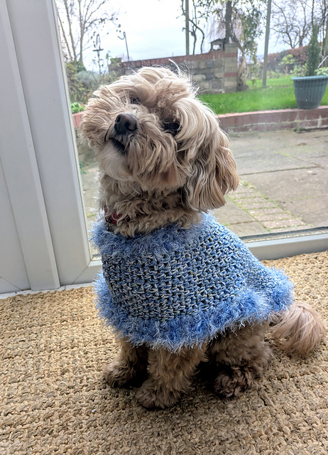Aristopaw Dog Cape Coat