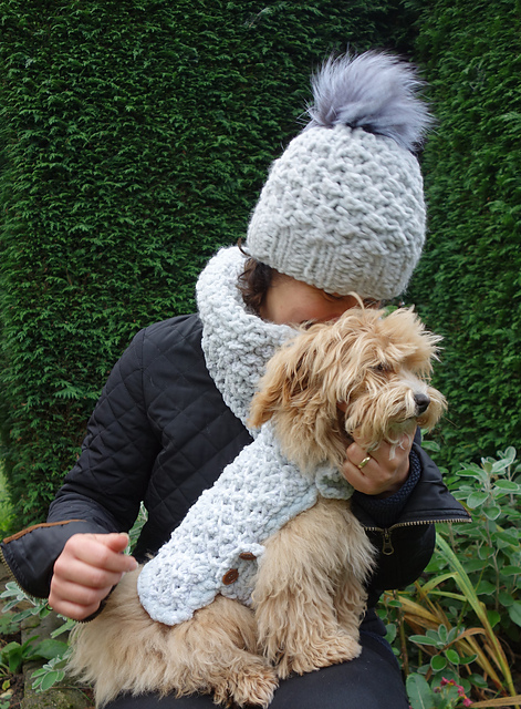 Banff Dog Winter Jacket