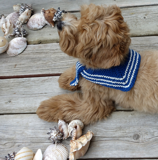 Dog Sailor Scarf