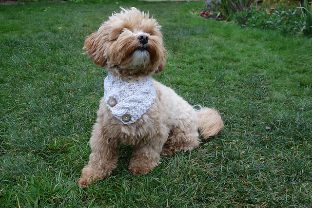 Cable Dog Cowl