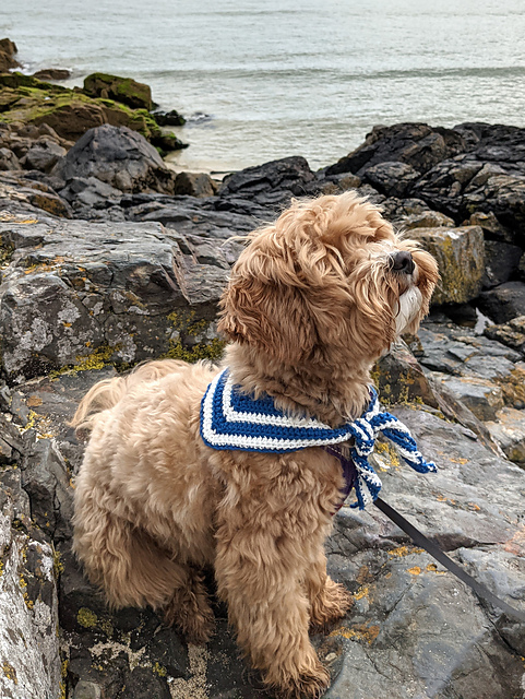 Dog Sailor Scarf