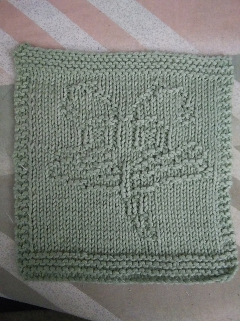 Drago Dragonfly Dishcloth