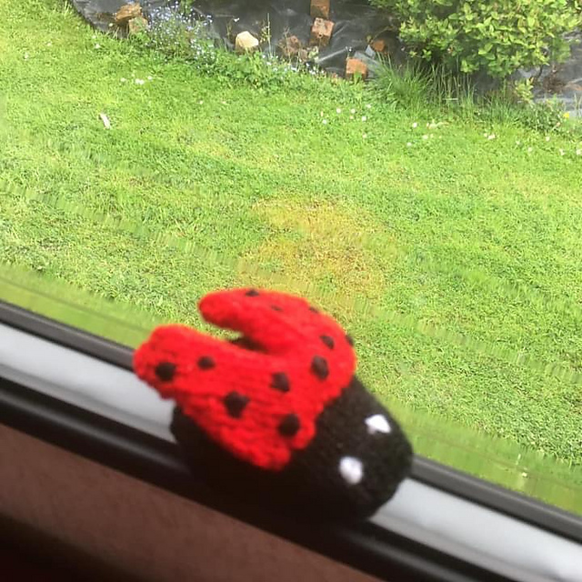 Nature Friends Ladybird