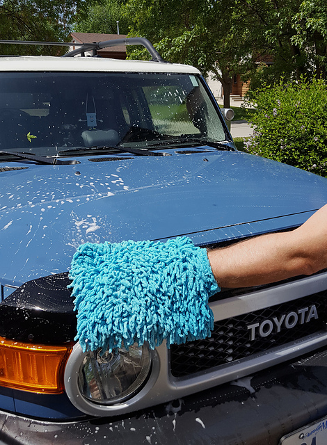 Car Wash Mitt