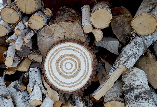 Rustic Woodland Pillow