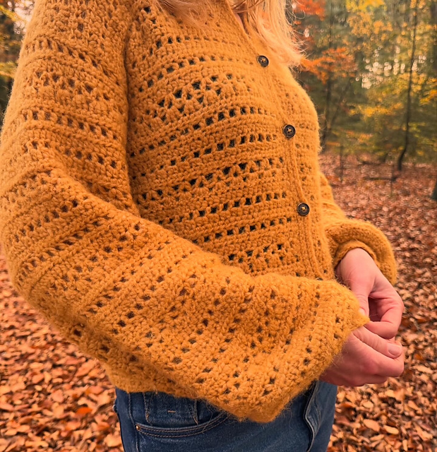 Lumi Lace Crochet Cardigan