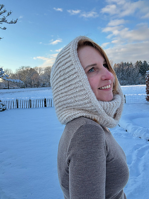 Liv Turtleneck cowl hoodie