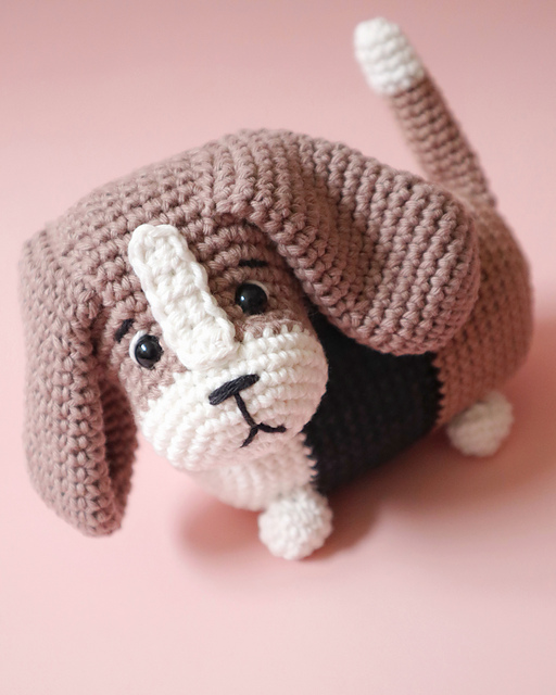 Gus the Basset Hound