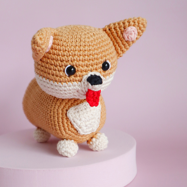Cooper the Corgi