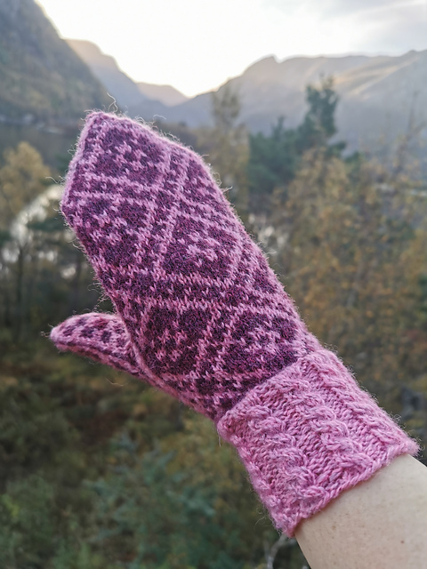 Fleur Élise mittens