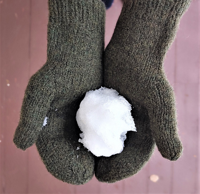 Felted Classic Mitts
