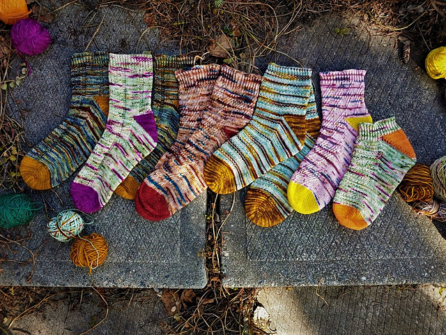 Wild Garden Sock Collection Toe Up