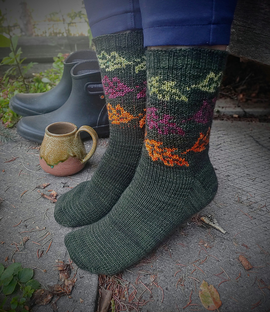 Autumn Socks Toe Up