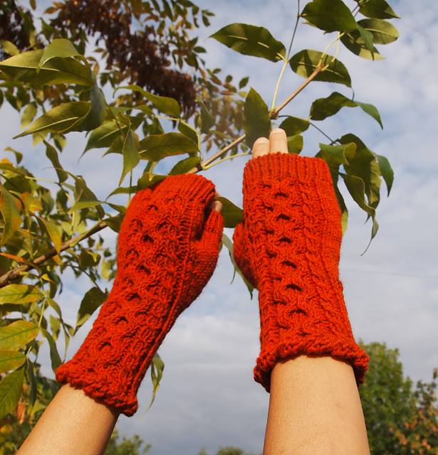 Carotina Fingerless Gloves