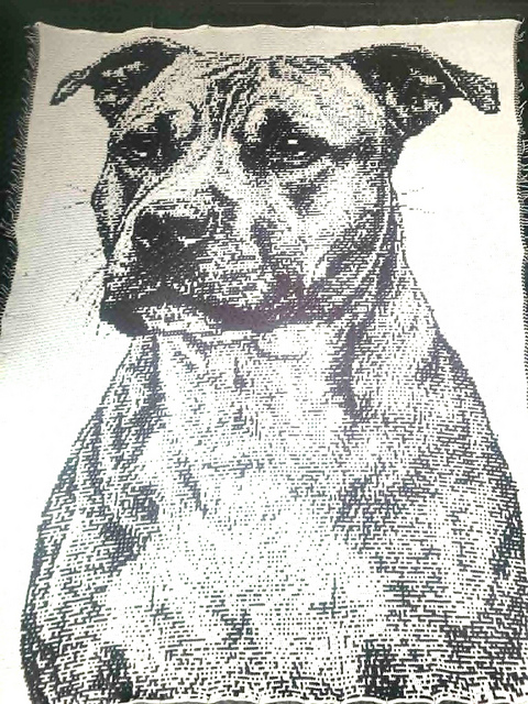 Overlay Mosaic "STAFFORDSHIRE TERRIER"