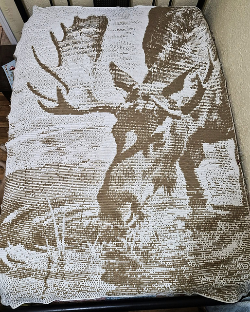 Overlay Mosaic "MOOSE"