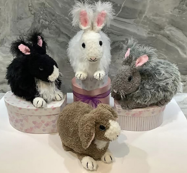 Angora and Lop Eared Bunnies