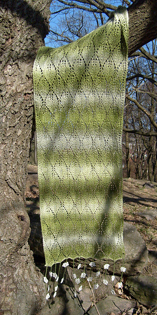 Guinevere Shawl